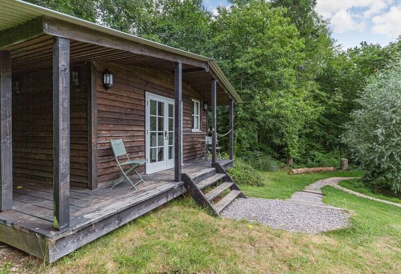 Lakeside Cabin