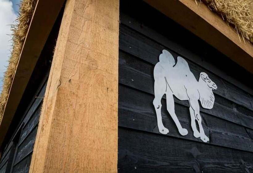 Camping Nieuw Romalo