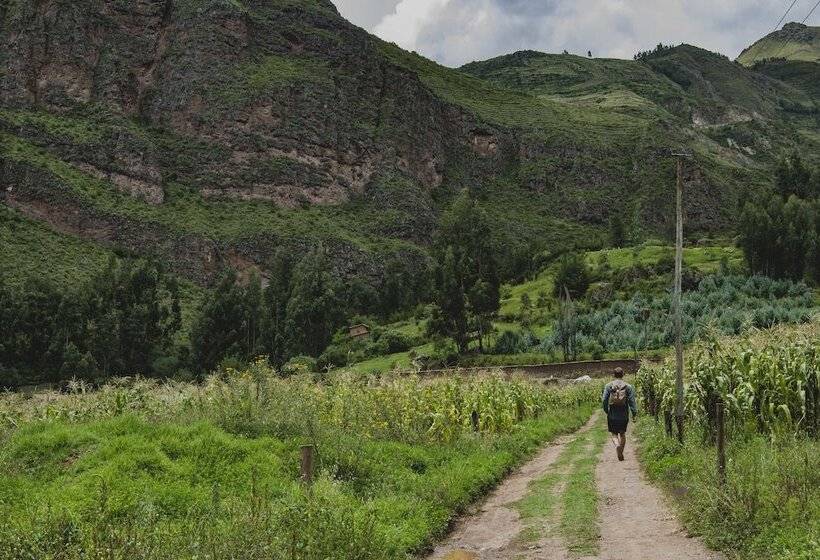 客栈  Hatha Art Yoga Pisac