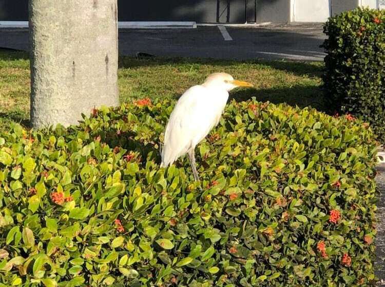 فندق Bay Breeze Inn Bradenton Downtown