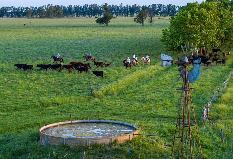 ホテル Estancia La Bandada