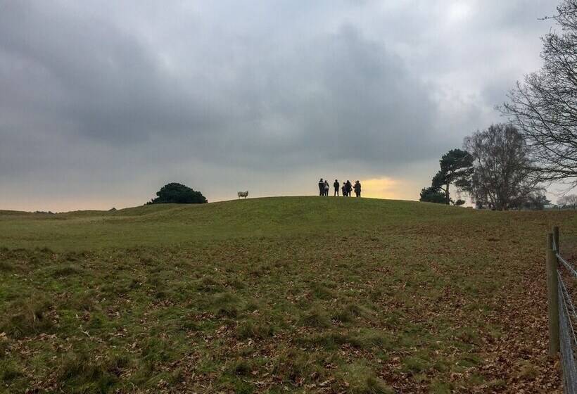 Mollett S Farm