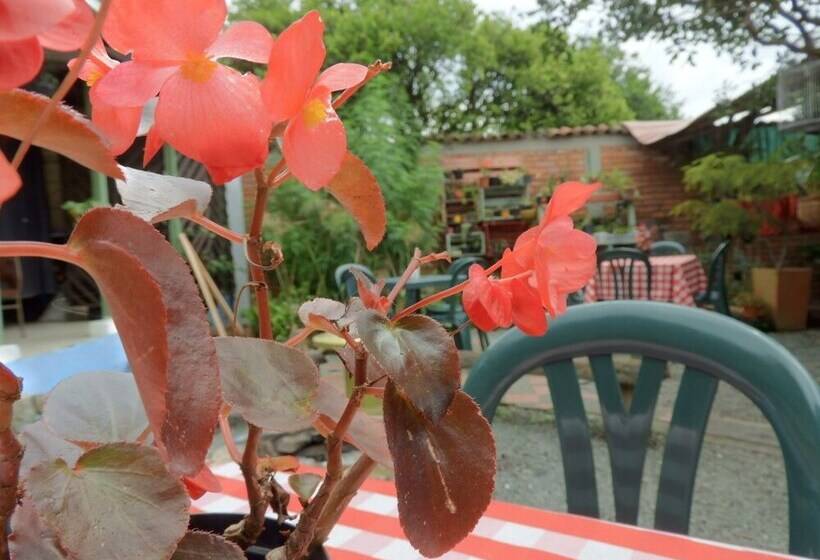 پانسیون Seeds & Roots Raíces Y Semillas