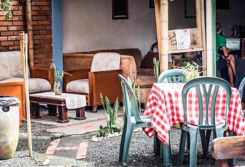 پانسیون Seeds & Roots Raíces Y Semillas