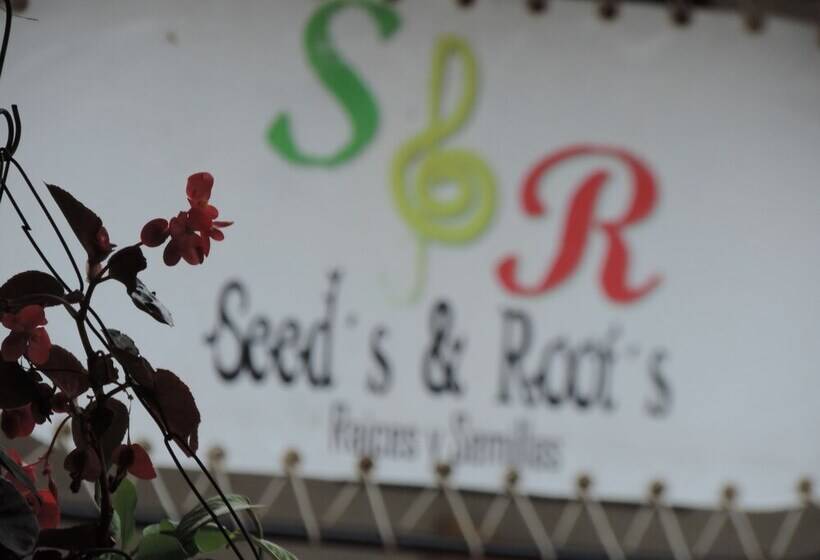پانسیون Seeds & Roots Raíces Y Semillas