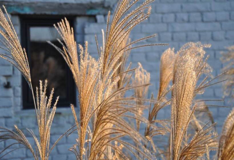 پانسیون Ter Crombrugghe