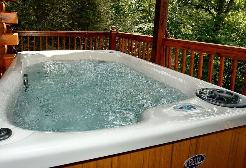 Spruce Lane   2 Bedrooms, 2 Baths, Sleeps 6 Cabin By Redawning