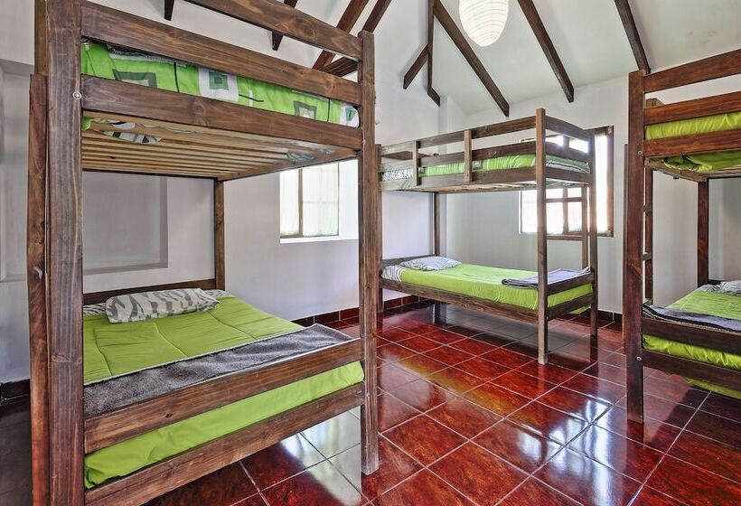 The Celtic Cross   Hostel