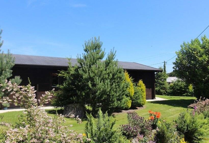 Cedar Lodge