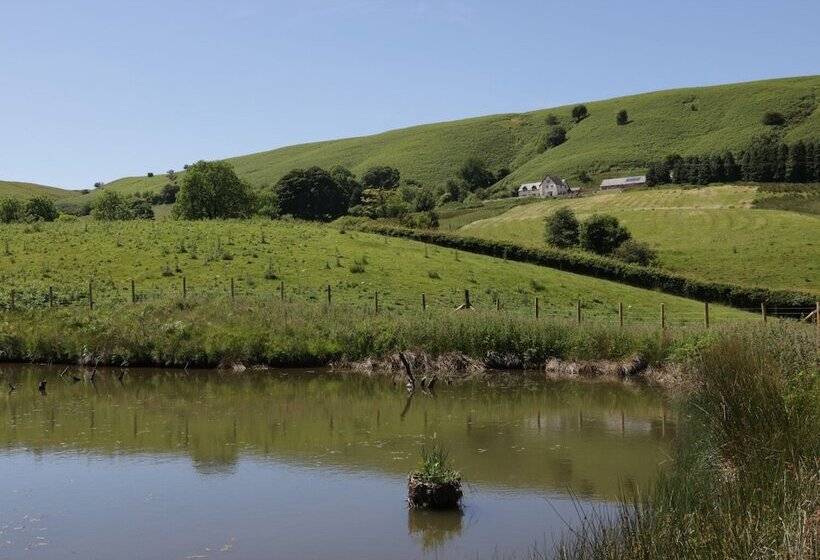 Maesgwyn