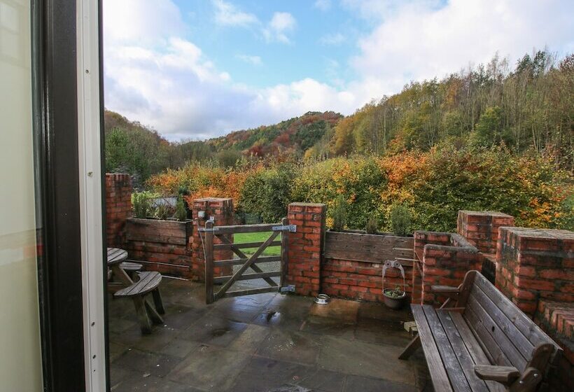 Meadow View