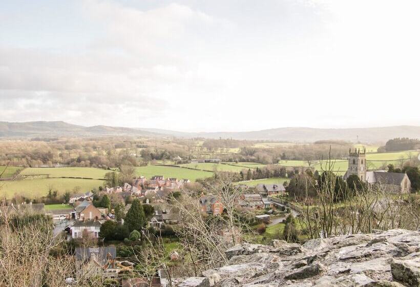 Bryn Caer