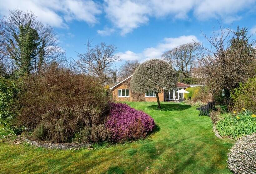 Trederwen