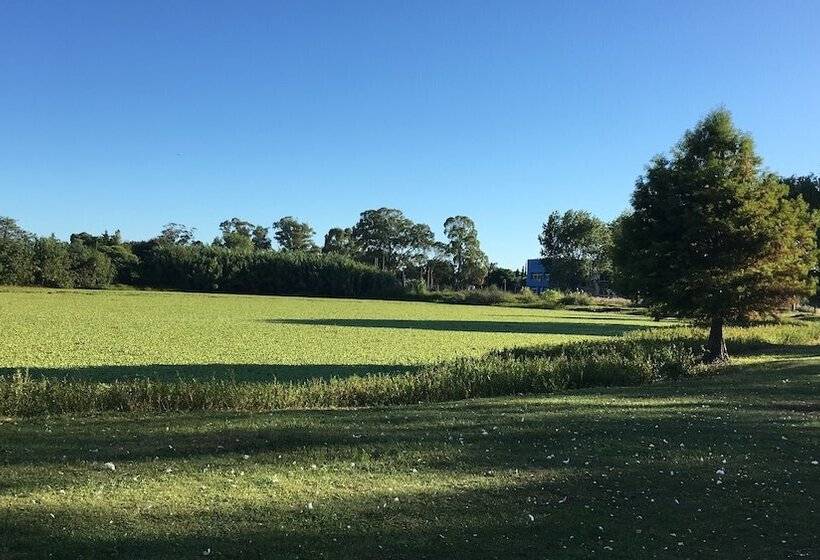 تختخواب و صبحانه Bidieen