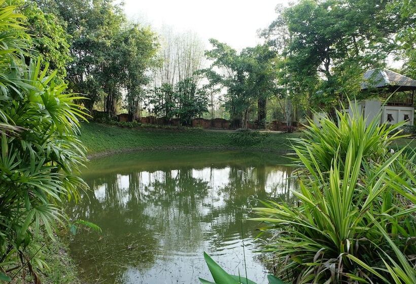 هتل Dala Hide Away Chiang Rai