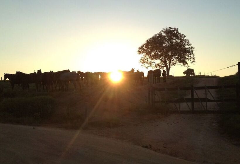 ホテル Fazenda Cana Verde