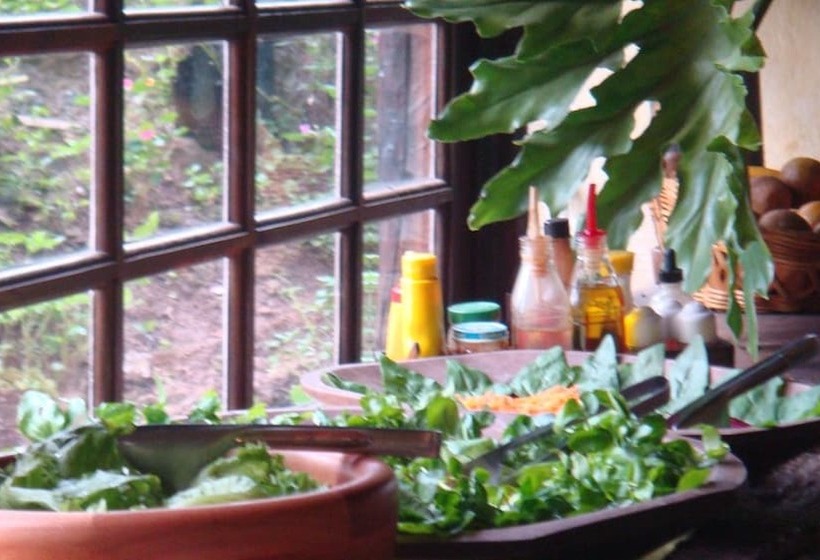 ホテル Fazenda Cana Verde