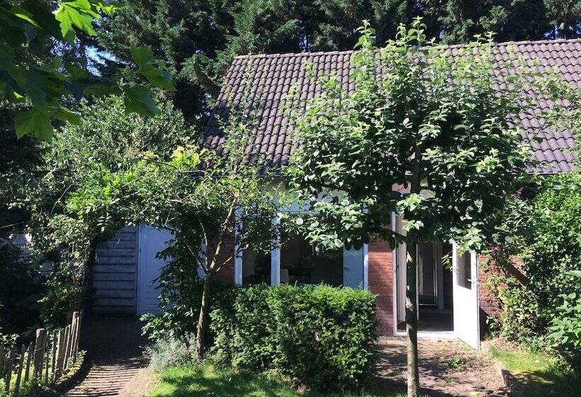 پانسیون Green Garden House