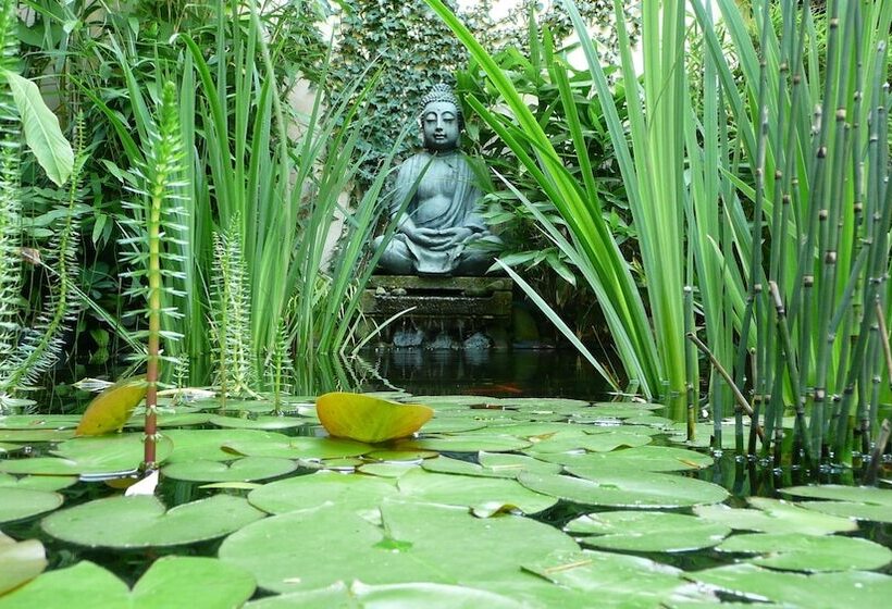 پانسیون Penzion Exotic