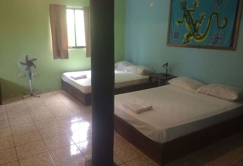 Be My Guest Cabinas