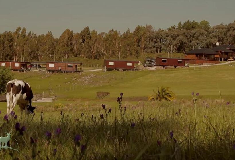 Cabañas Valle De Los Ciervos