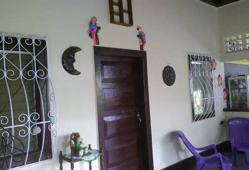 Hostel Coco's
