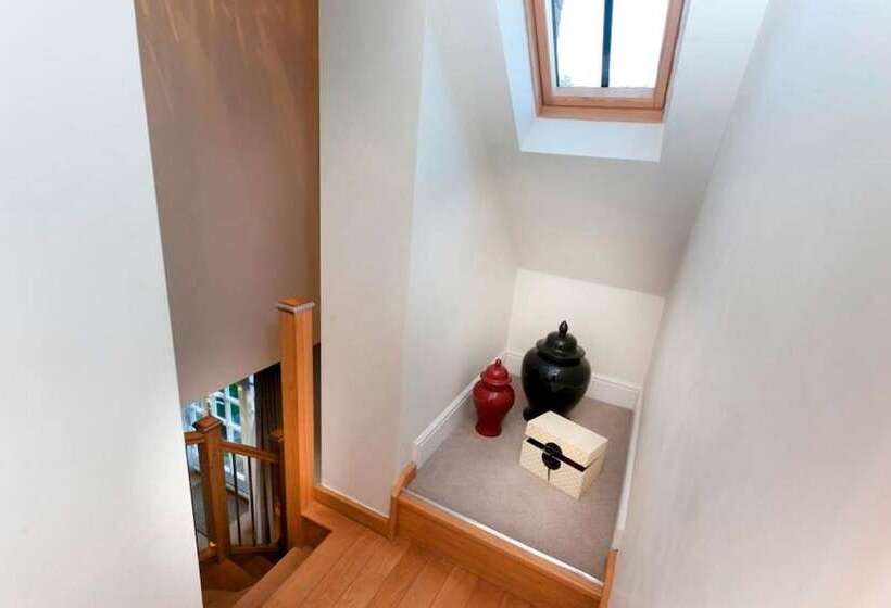 فندق Dbs Serviced Apartments   The Delven