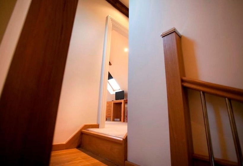 فندق Dbs Serviced Apartments   The Delven