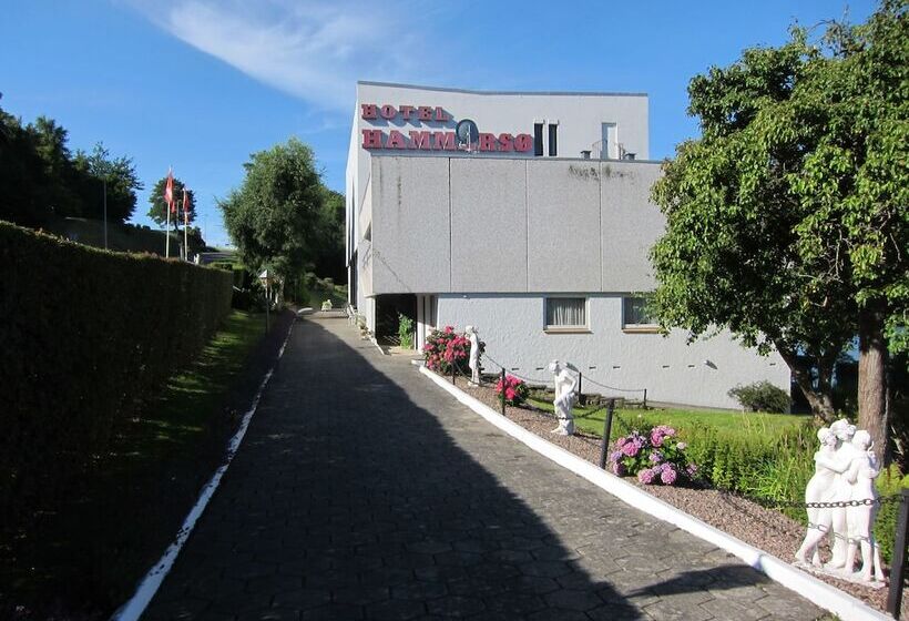 هتل Hammersø