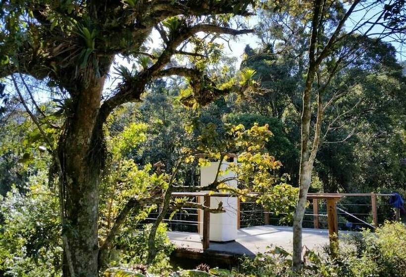 فندق ريفى Fazenda Bacchus