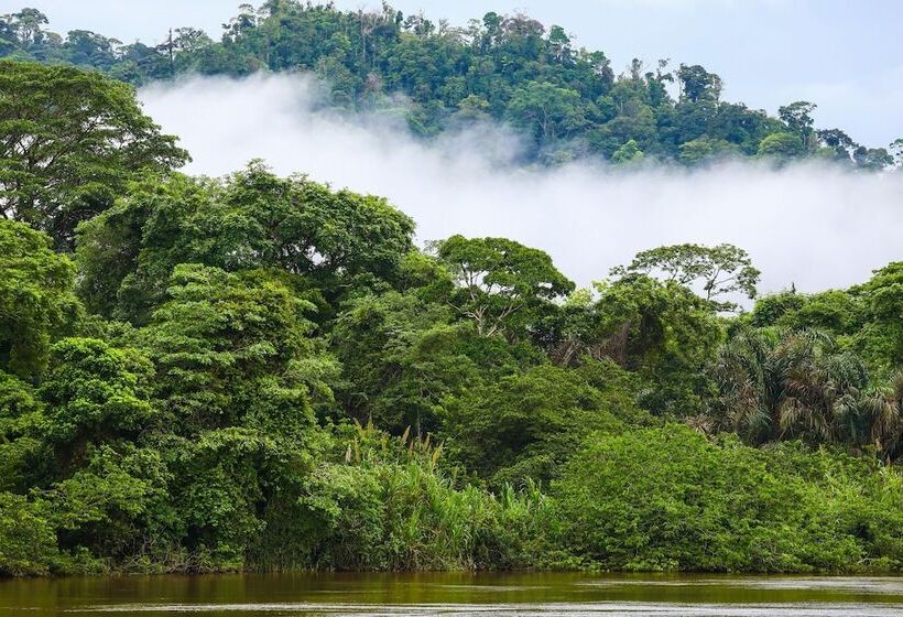 فندق Tapir Lodge