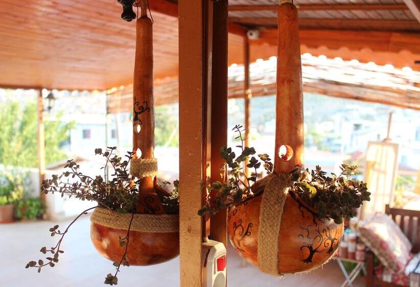 هتل Zeybek 2 Pension & Apart