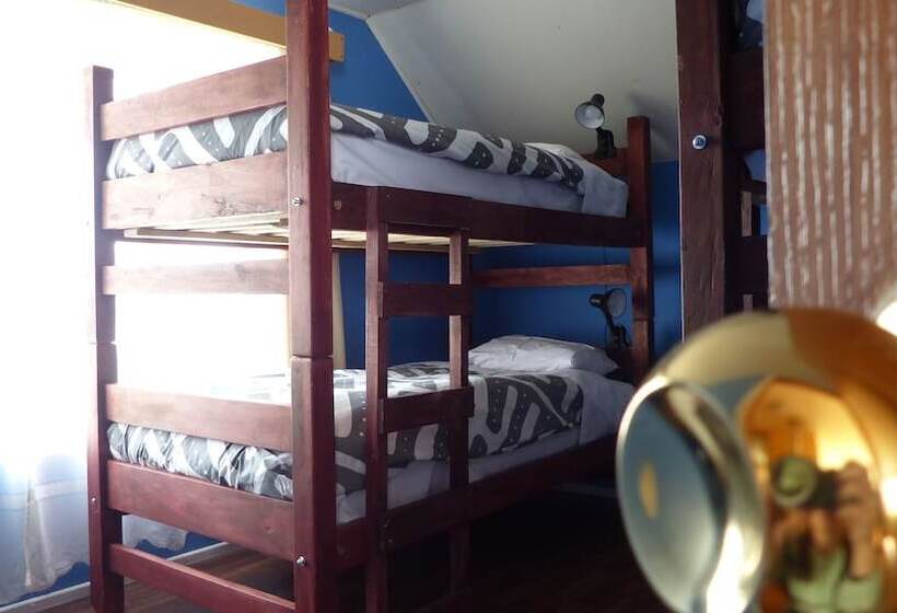 Maytenus Bed And Breakfast   Hostel