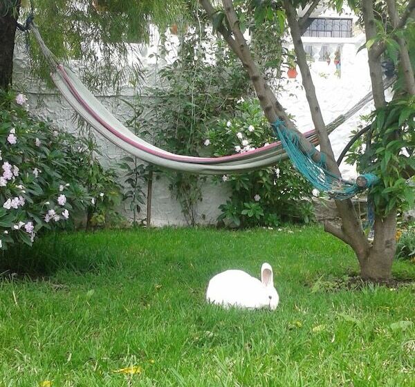 پانسیون Alojamiento Vertientes Del Imbabura