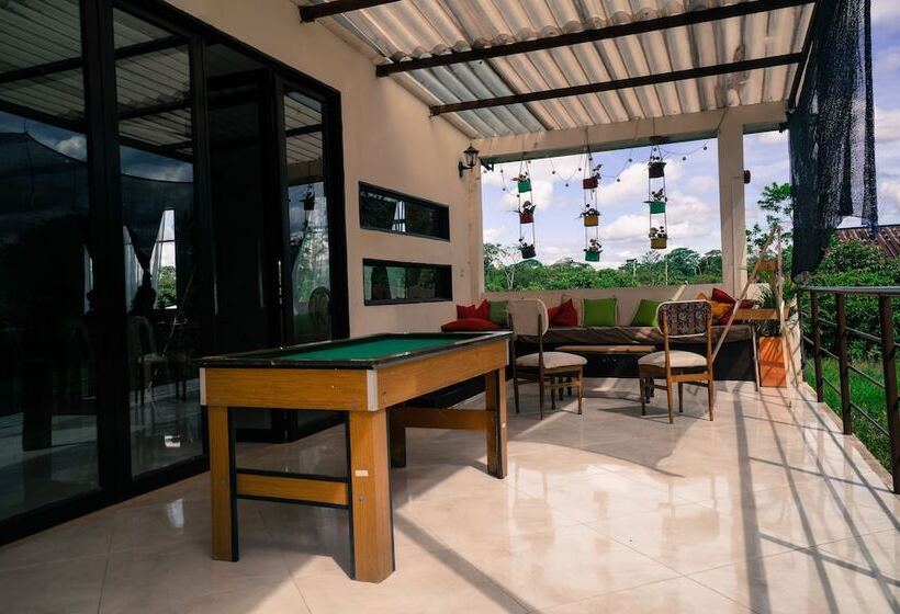 پانسیون New Western