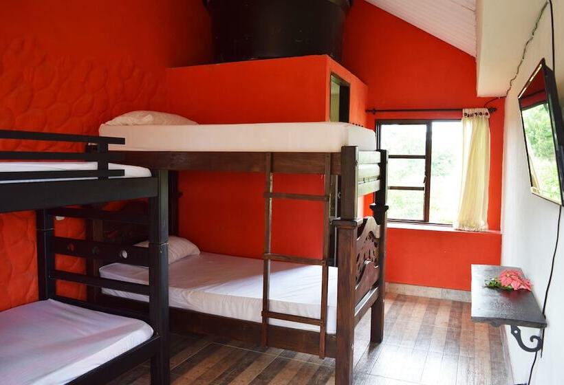 پانسیون New Western