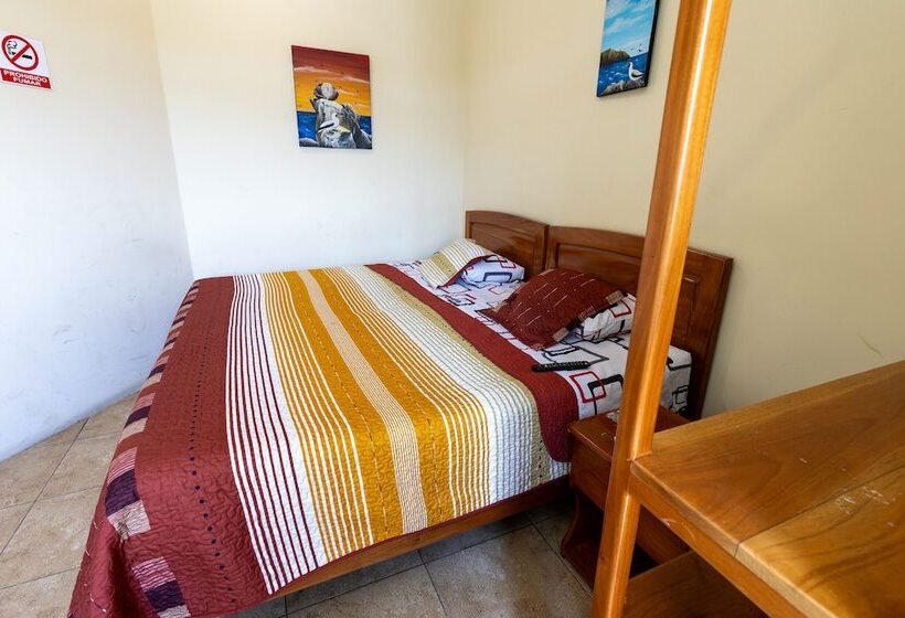 تختخواب و صبحانه Ariana´s Galapagos Hostal