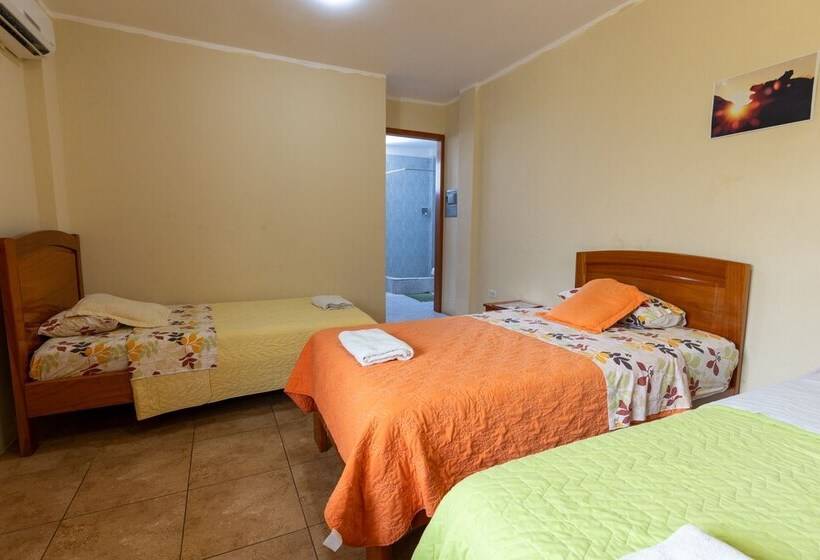 تختخواب و صبحانه Ariana´s Galapagos Hostal