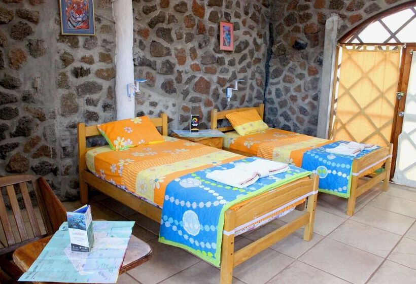 Galapagos Penguin Hostel