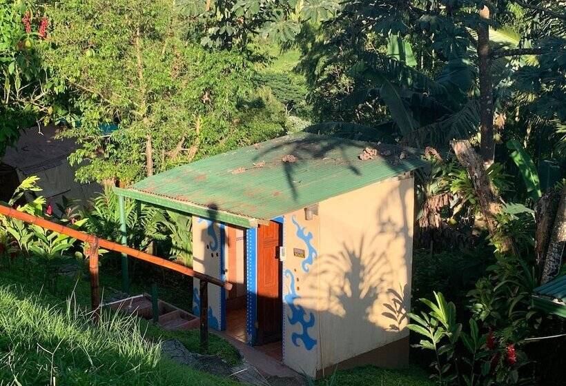 فندق فئة نجمة واحدة Essence Arenal Spa & Yoga