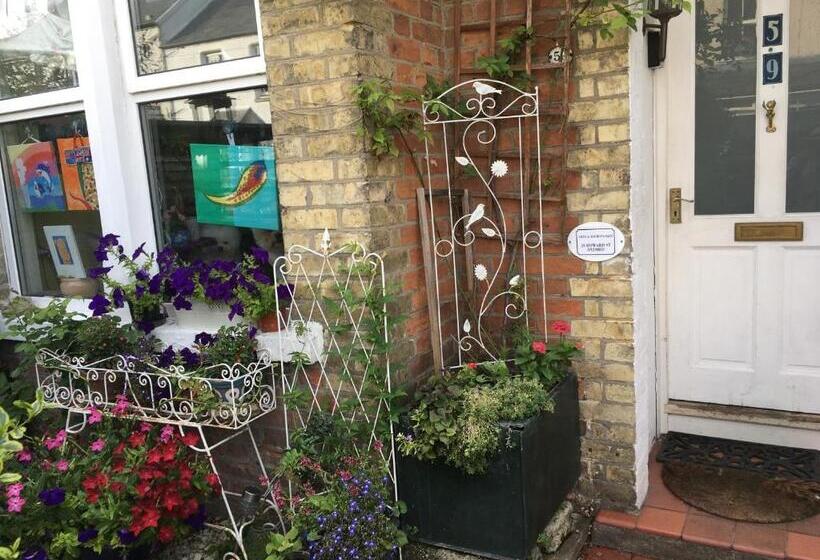 بنسيون Arts&bichonsb&b