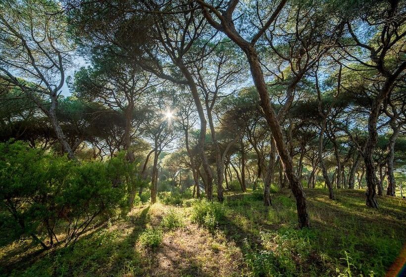 هتل Apartamentos Costaluz Punta Umbria