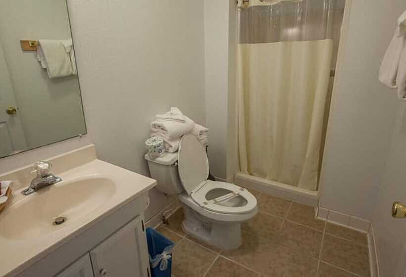 هتل Maggie Valley Creekside Lodge