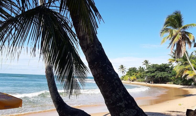 בית מלון כפרי Pousada Do Holandês Bahia