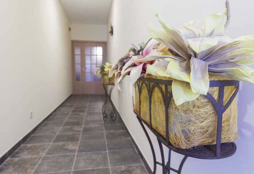 هتل روستایی Agro Turismo Do Roxo