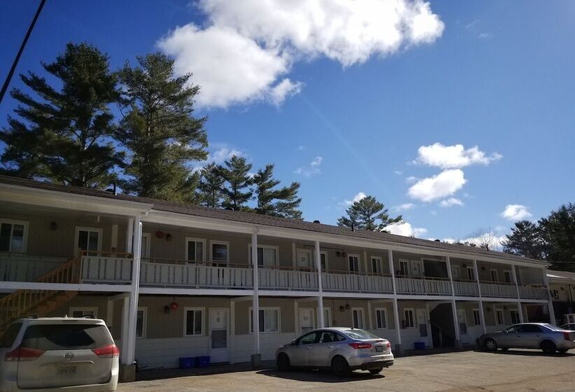 모텔 Pinedale Inn