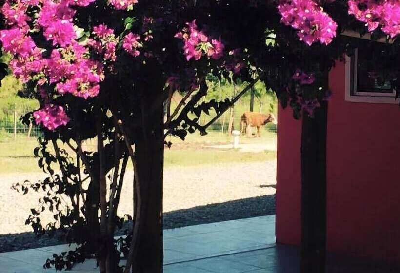 بنسيون Casa De Campo Lo De Fatsia