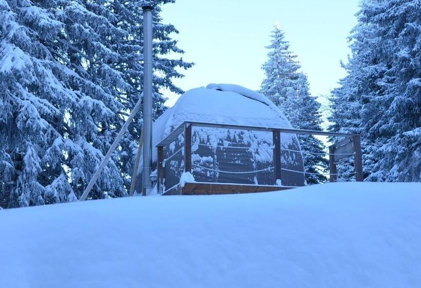 בית מלון כפרי Eco Bivouac Village D Igloo   Campground