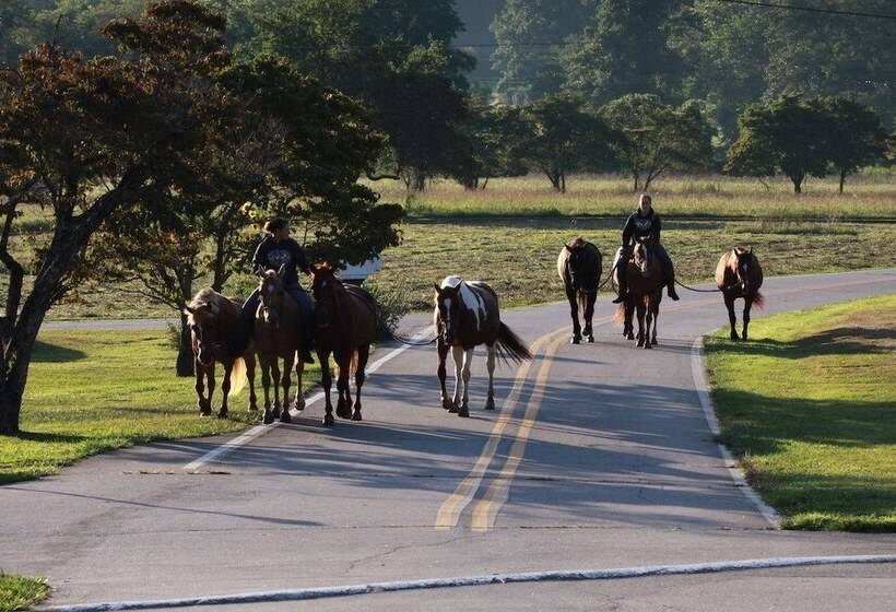 田舎風ホテル Pisgah View Ranch