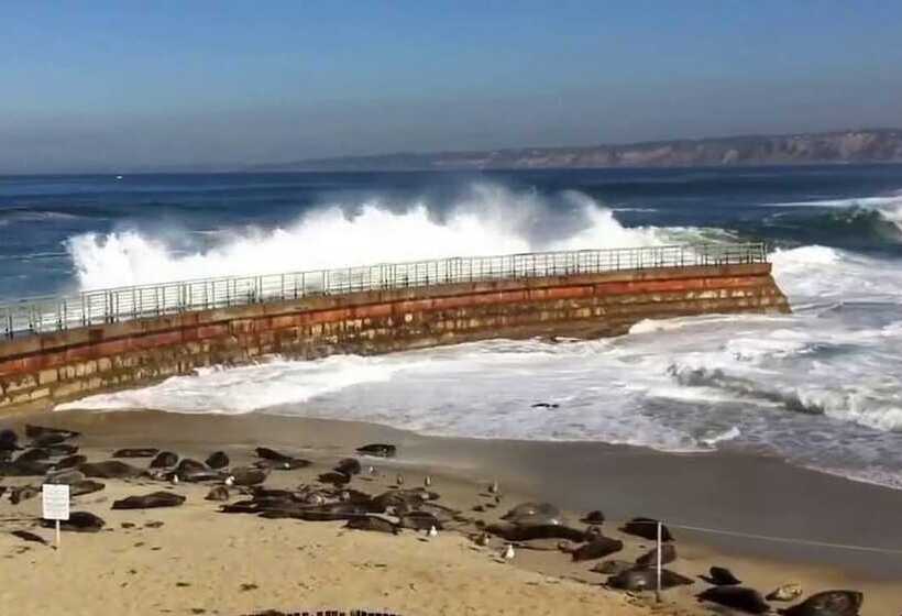 Redwood Hollow Cottages